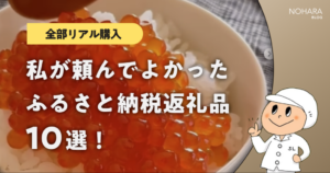 【全部リアル購入】私が実際に頼んだふるさと納税返礼品10選!