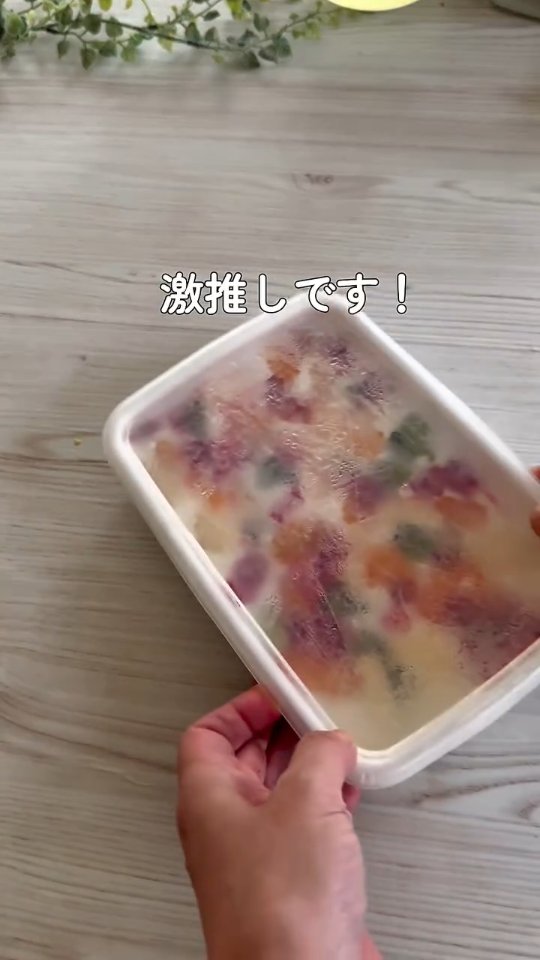 フタ付きのバットで凍らせたヨーグルトアイス